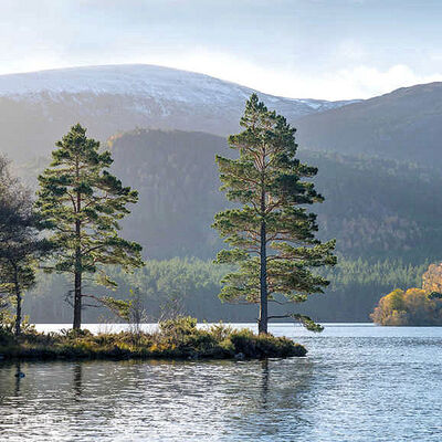 Schotland: Loch an Eilein in het Cairngorms National Park