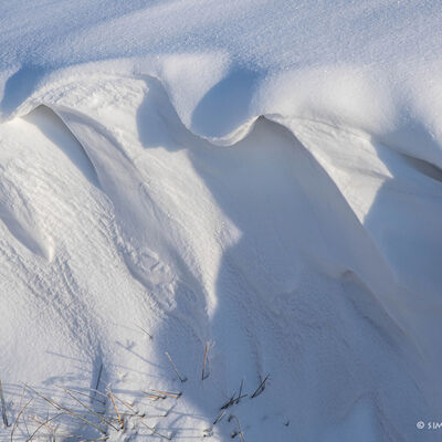 Snowdunes
