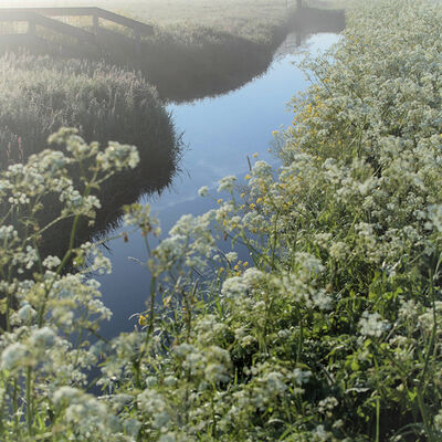 Slootje in Waterland