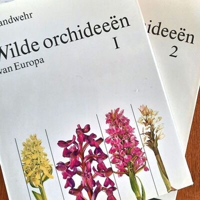 De orchideeënbijbel
