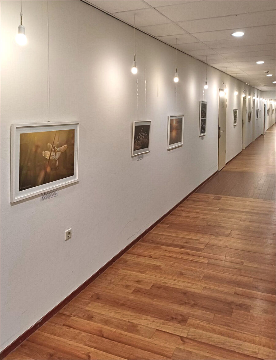 Expo Novawhere hal
