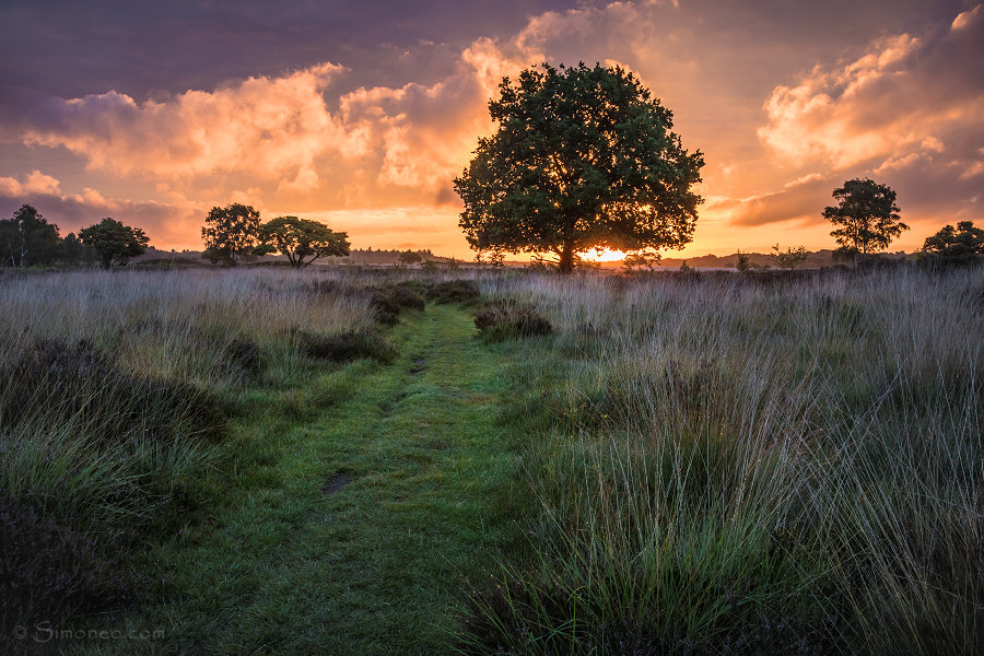 Zuiderhei, Hilversum, The Netherlands