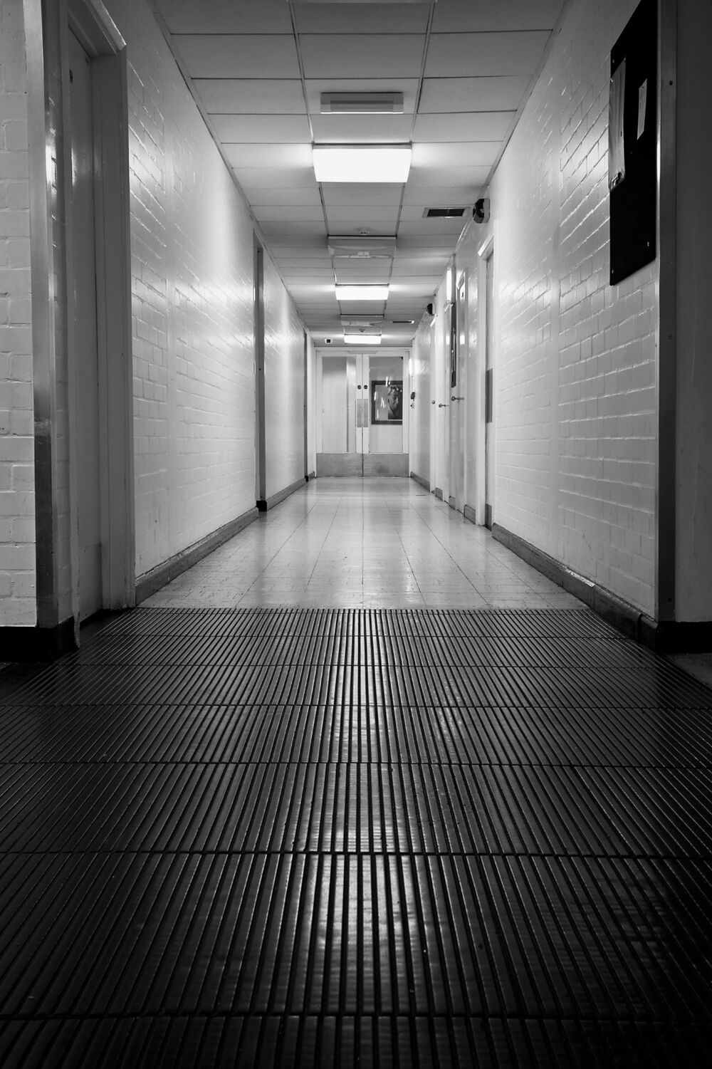 lines