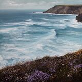 Wide flowers and a Wild sea