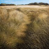 Wandering on a Summers Day