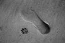 Sand Prints