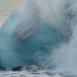 Blowhole