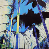 Bat Palm, Screenprint and relief print, edition of 15, £250 unframed