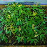 "Belfast Lough" oil on linen on board