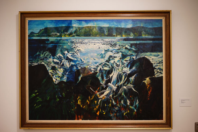 Sea Gulls and Light Installation