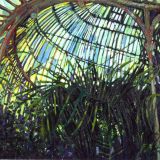 In The Palmhouse, oil on canvas, 97 x 101cm