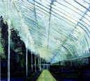 Palmhouse, Belfast, Oil on Canvas, Simon McWilliams