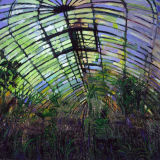 Mist in the Palmhouse, oil on canvas, 76 x 90cm