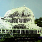 Palm House - Screen Print edition of 20