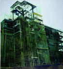 Spine, oil on canvas, Simon McWilliams