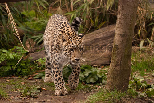 On The Move