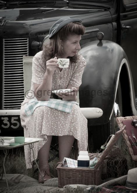 The Picnic