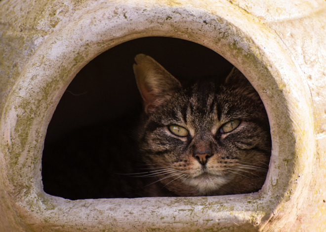 Hide And Seek