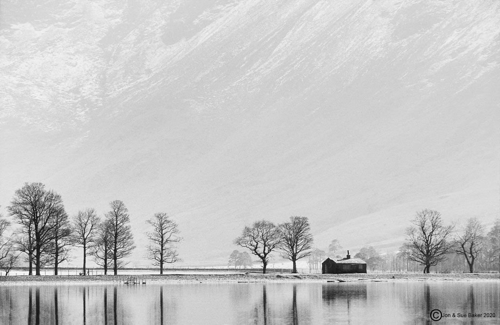 Buttermere Pines