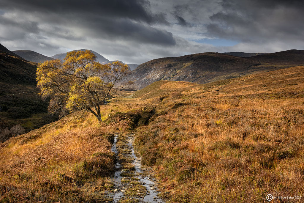Above Glen Affric