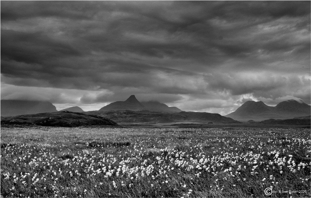 Cotton Grasses Achnahaird