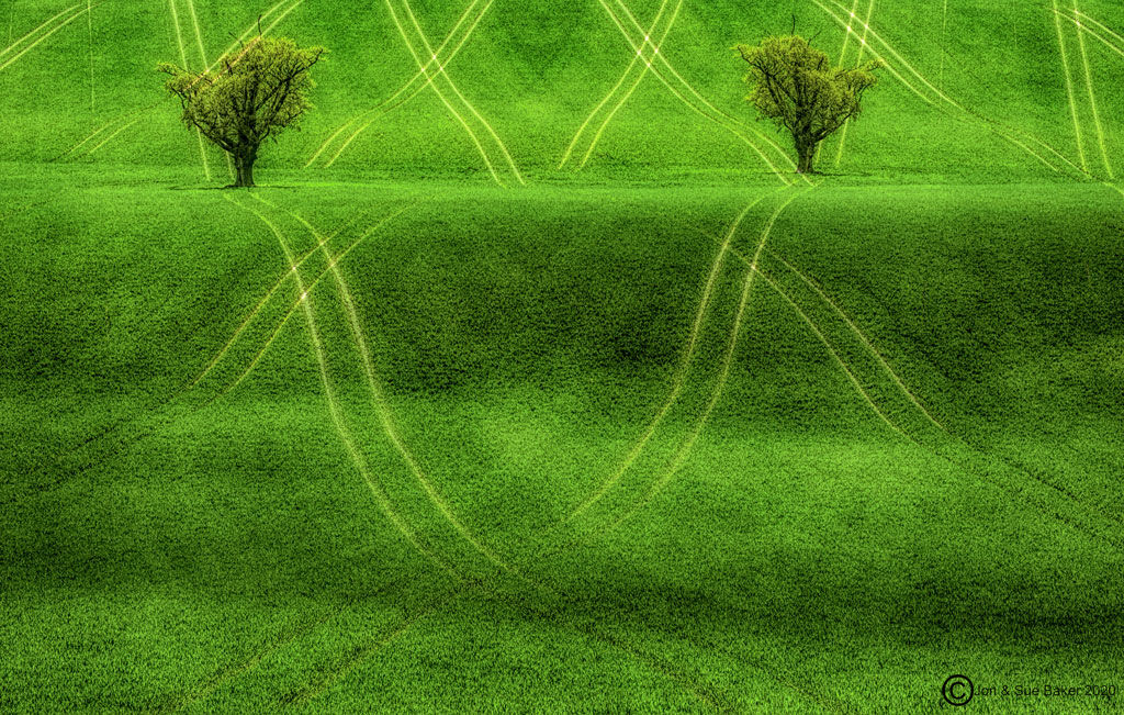 Furrow Patterns