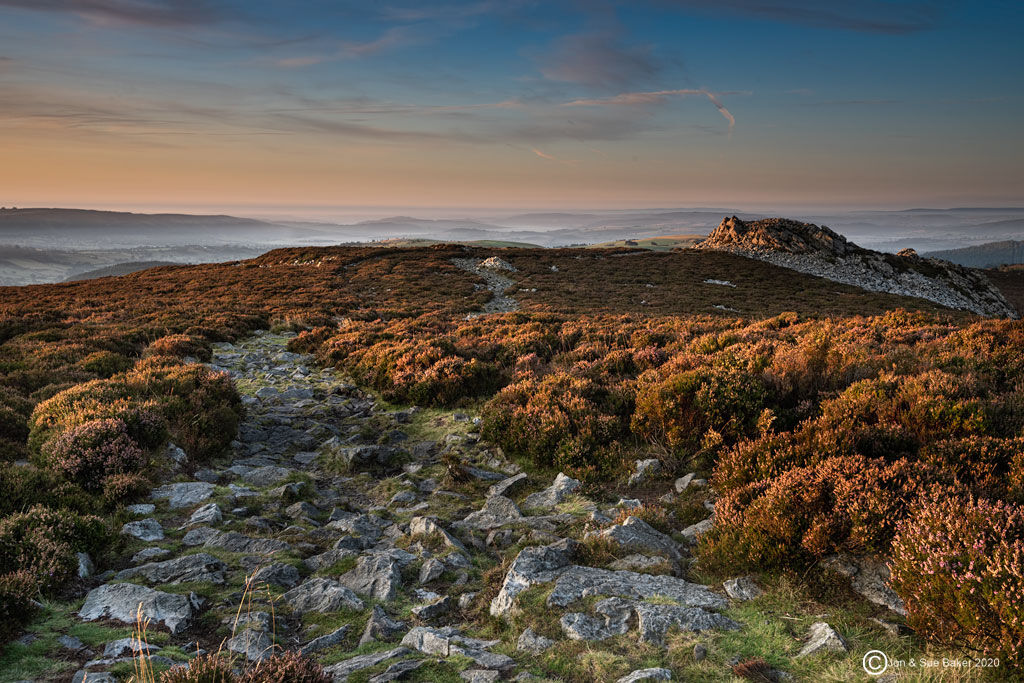 Stiperstones Dawn