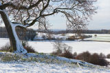 Ledsham fields in winter