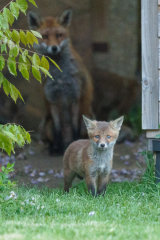 I'm right behind you ...