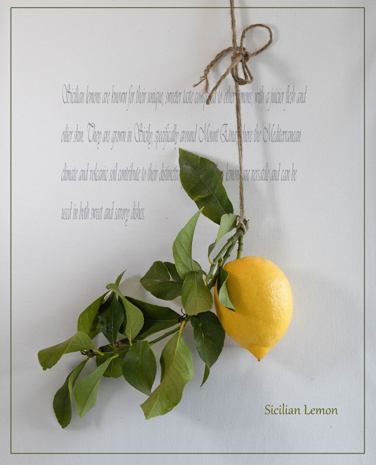 Sicilian Lemon
