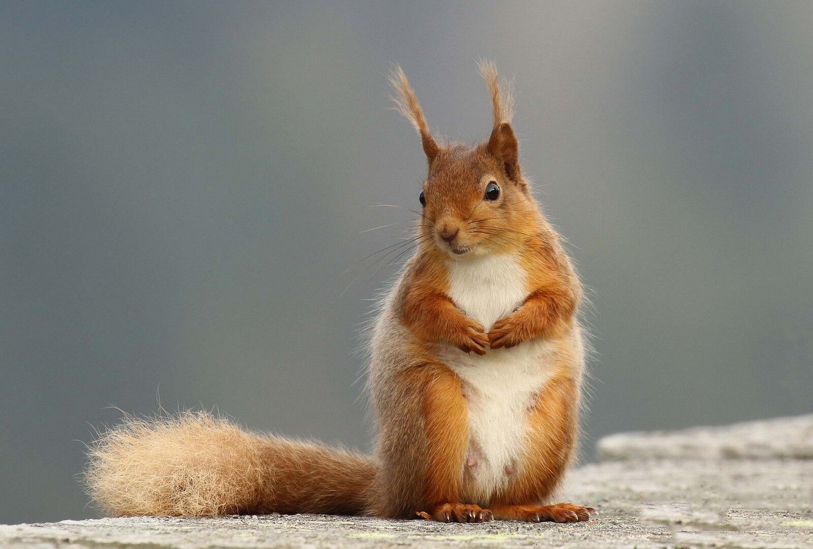 Sitting Pretty