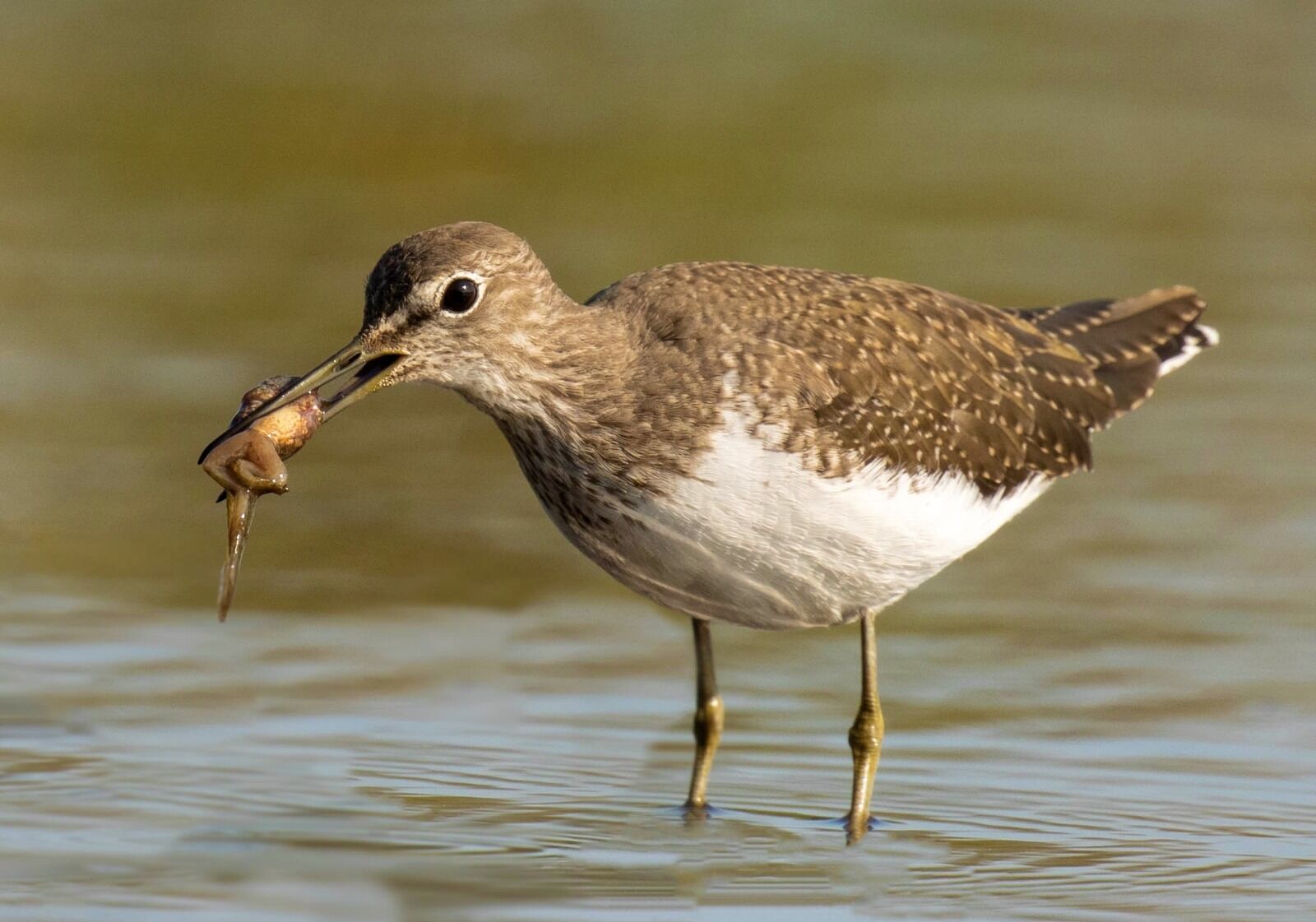 Snack Time!