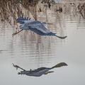 October 2025 - In Flight