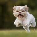 August 2025 - Animals