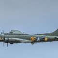 Sally B