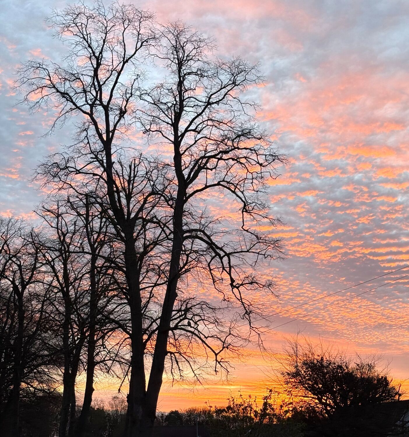 Sunrise