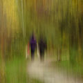 NOV 2019 BLURRED