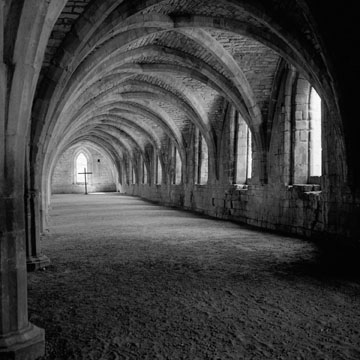 Cellarium #1