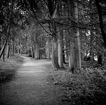 Pathway, Study #1