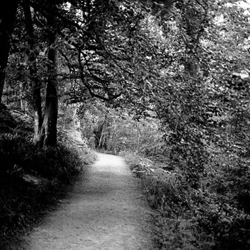 Pathway, Study #4