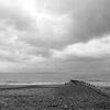 Hornsea #1