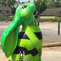'Hare-y Kane' arrives at the Club's Football Ground