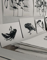 drawings from Borough Road Gallery residency