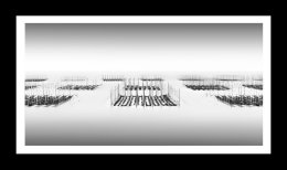 Sea Weed Nets Tokename