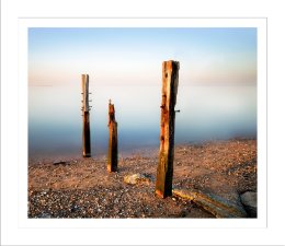 Seasalter Groynes 2