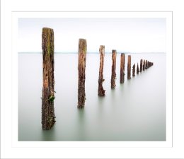 Seasalter Groynes 3