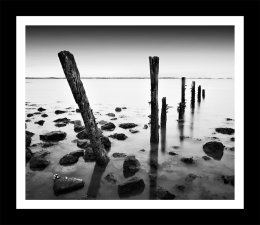 Seasalter Groynes at Low tide