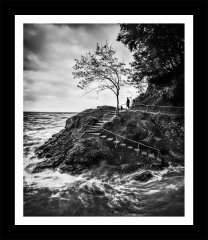 Walking The Dog In B&W