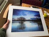 Framed print - £30 with free local Beeston delivery