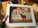 Framed print - £30 with free local Beeston delivery